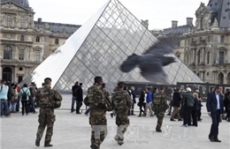 Pháp triển khai gần 11.000 cảnh sát bảo vệ hội nghị COP 21